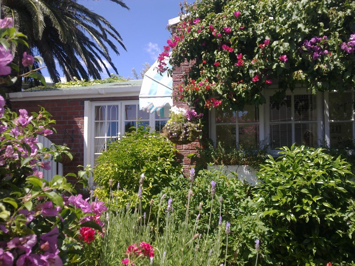 Sherwood Boutique Cottage Cape Town Ngoại thất bức ảnh